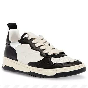 Steve Madden Everlie Sneakers